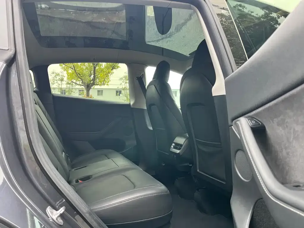 Tesla Model Y 2021 из CN, фото 2
