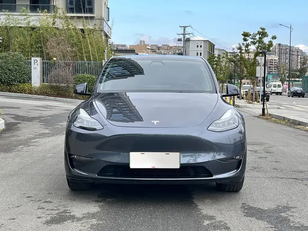 Tesla Model Y 2021 из CN, фото 9