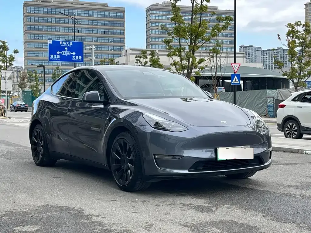 Tesla Model Y 2021 из CN, фото 3