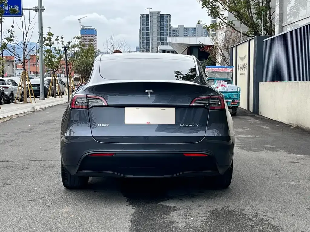Tesla Model Y 2021 из CN, фото 8