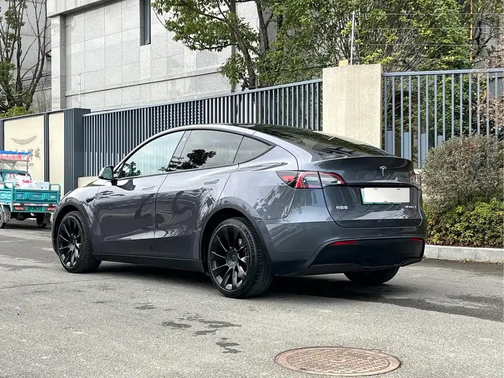 Tesla Model Y 2021 из CN, фото 10