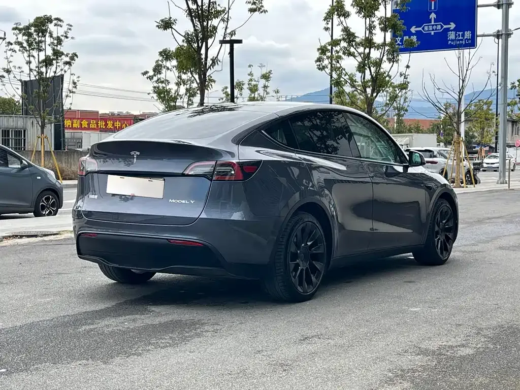 Tesla Model Y 2021 из CN, фото 7