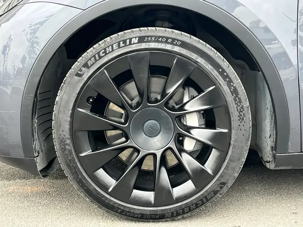 Tesla Model Y 2021 из CN, фото 6