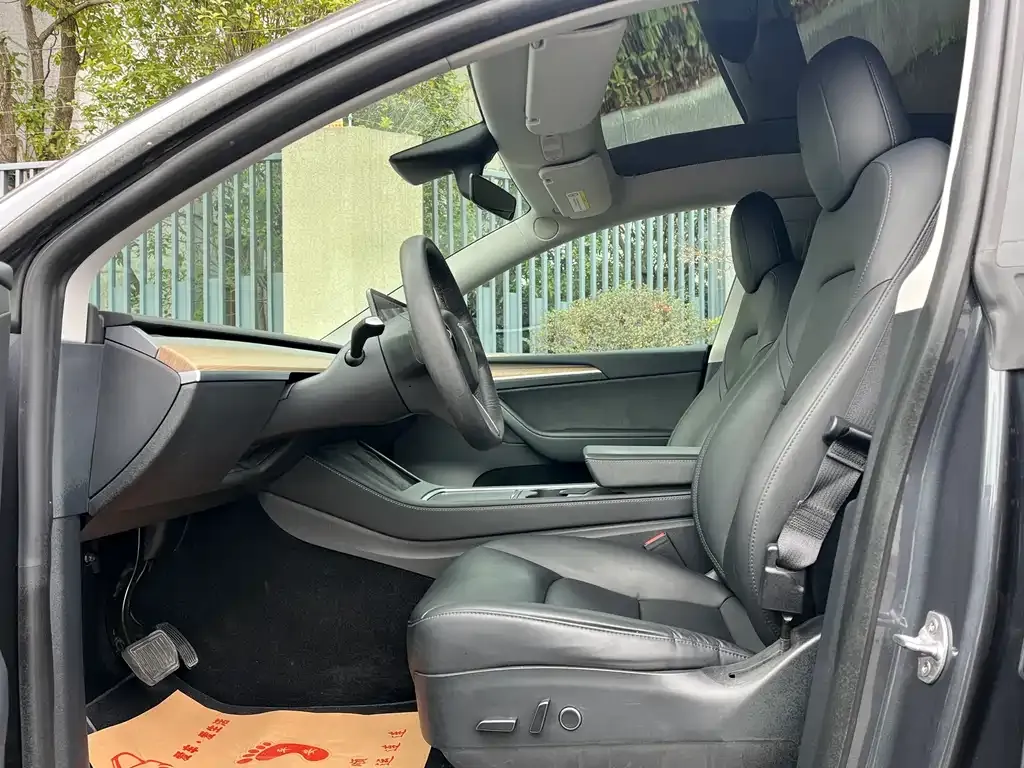 Tesla Model Y 2021 из CN, фото 4