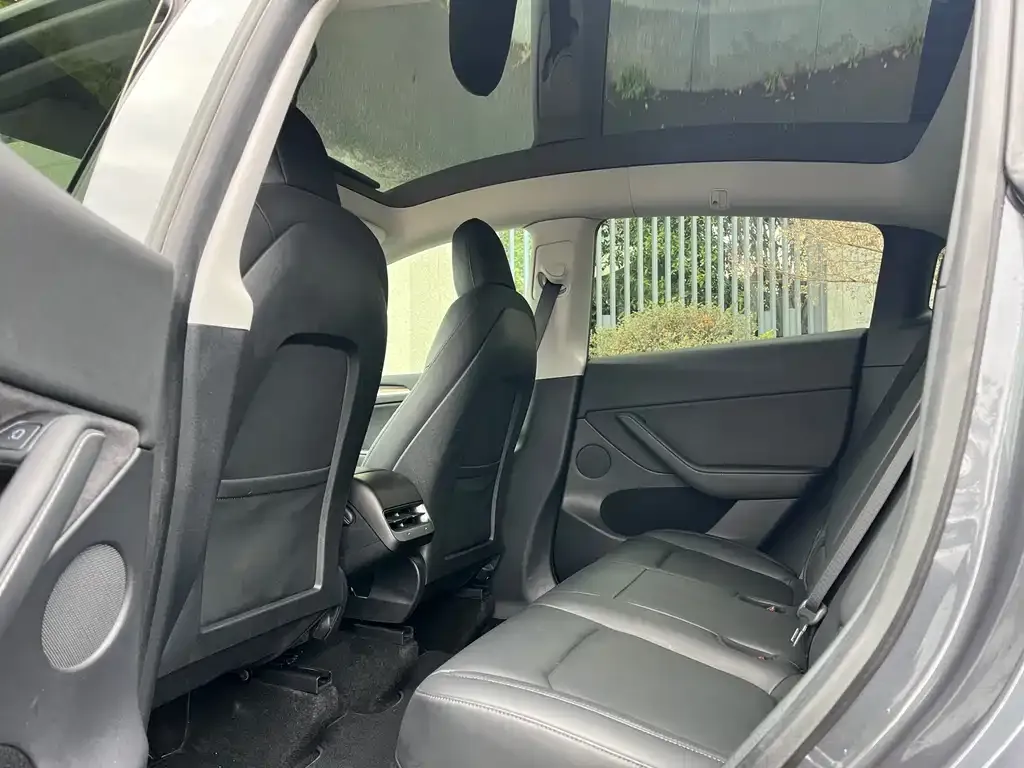Tesla Model Y 2021 из CN, фото 5