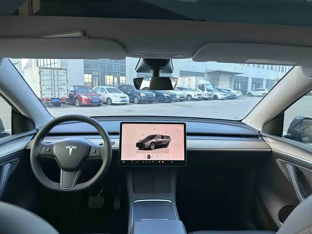 Tesla Model Y 2022 из CN, фото 6