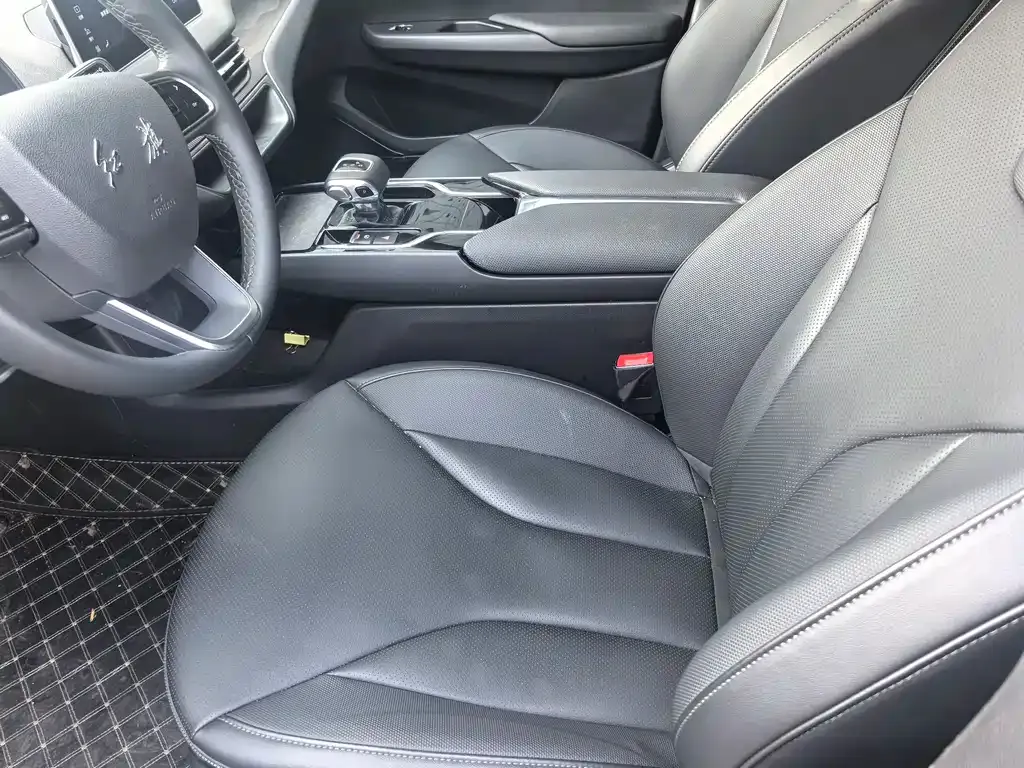 Hongqi E-QM5 2023 из CN, фото 9