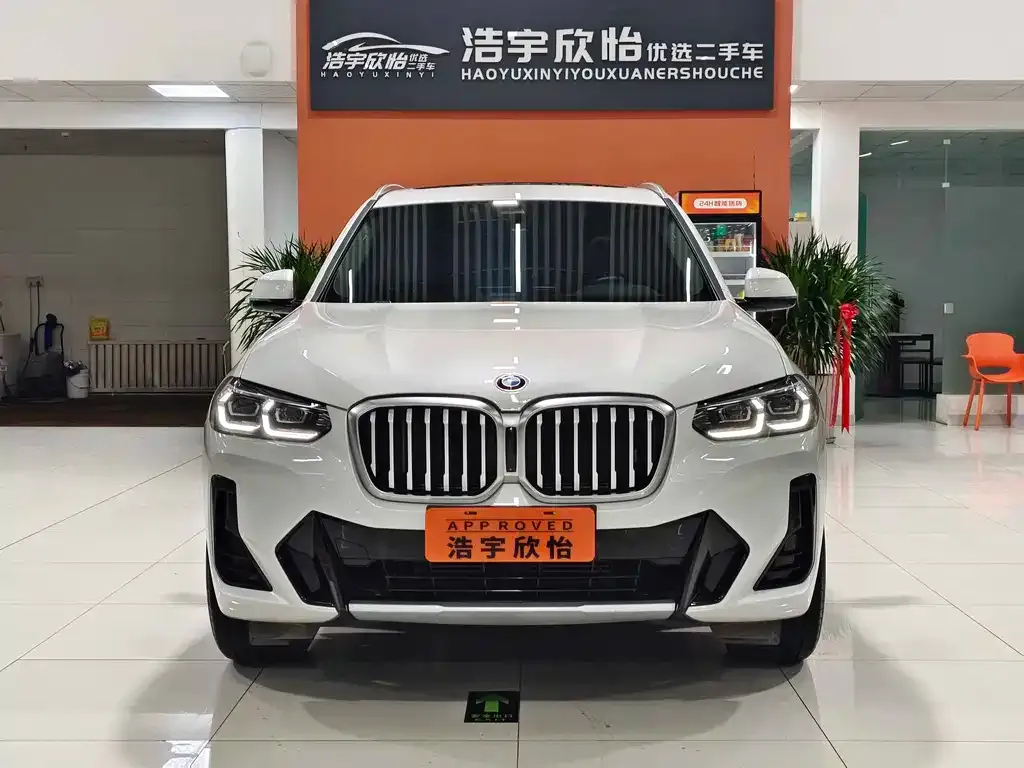 BMW X3 2024 из CN, фото 4
