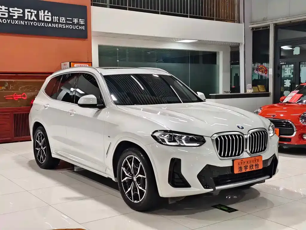 BMW X3 2024 из CN, фото 8