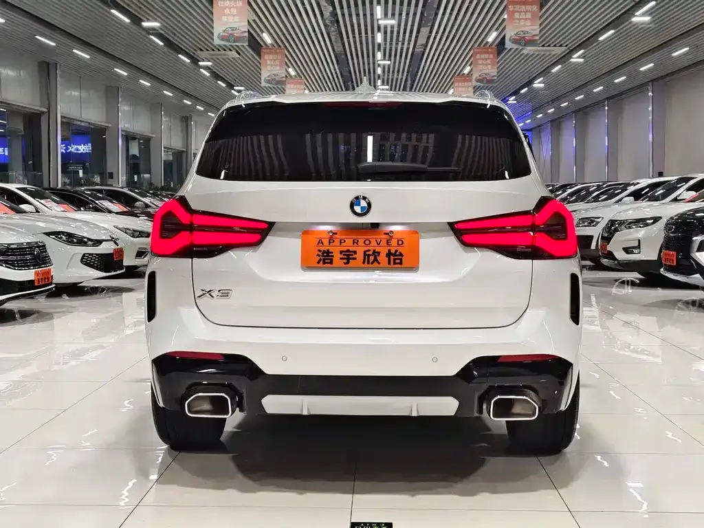 BMW X3 2024 из CN, фото 6