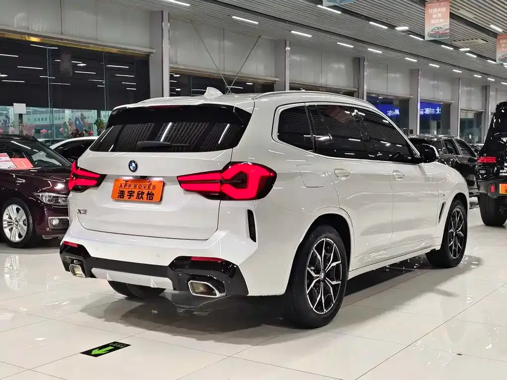 BMW X3 2024 из CN, фото 9