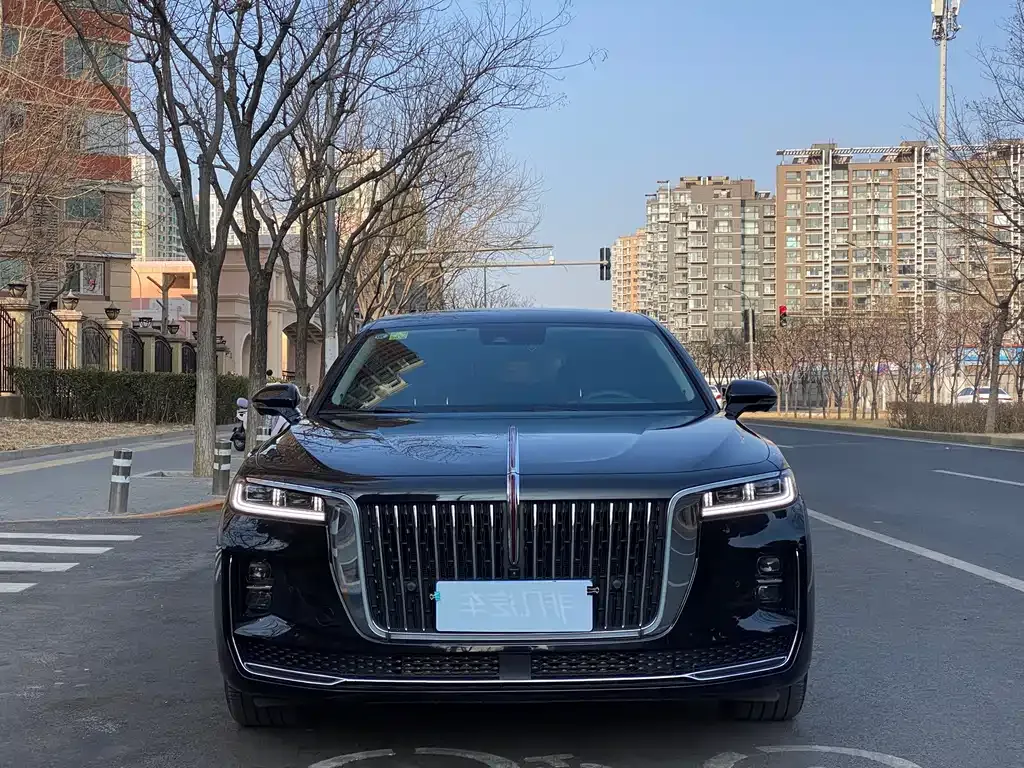Hongqi H9 2024 из CN, фото 6