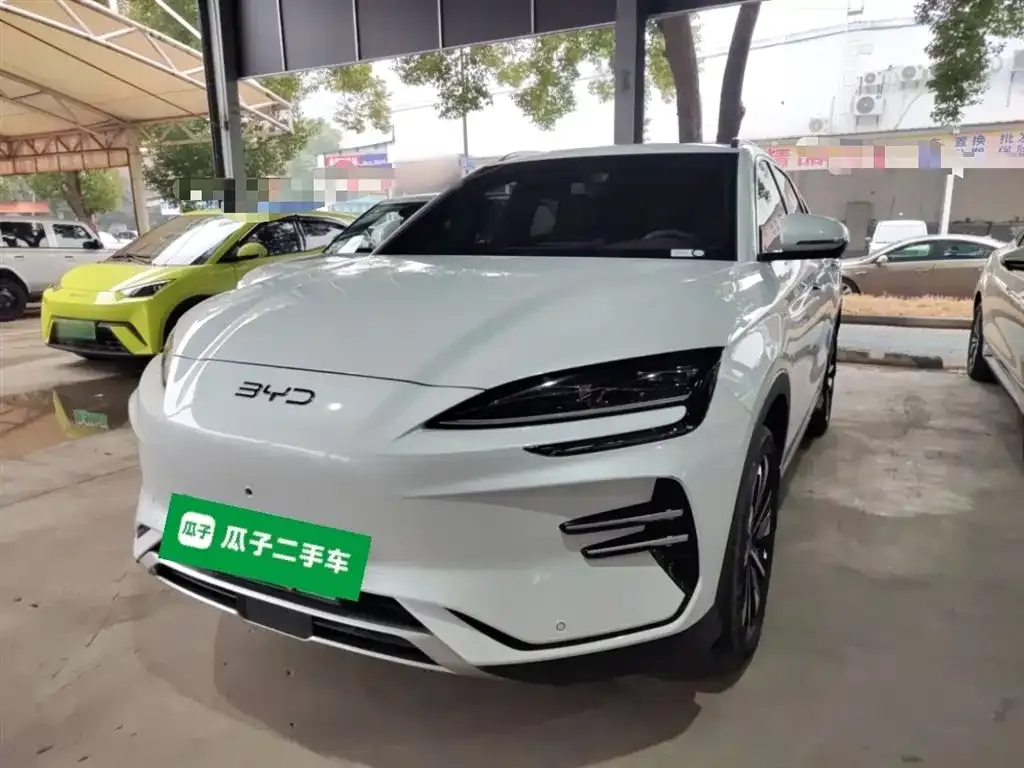 BYD PLUS New Energy 2024 из CN, фото 1