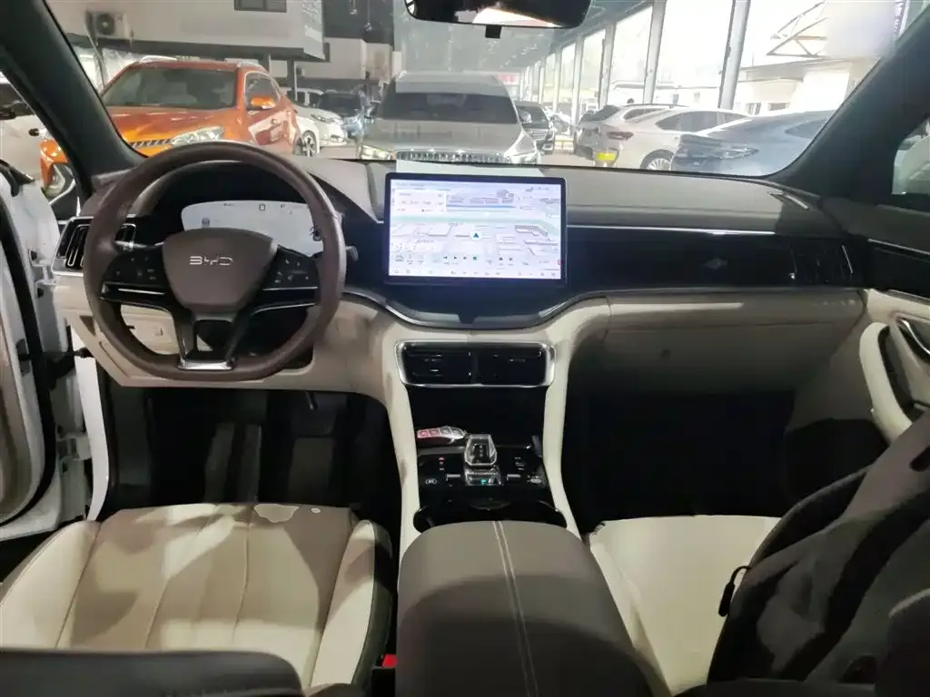 BYD PLUS New Energy 2024 из CN, фото 8