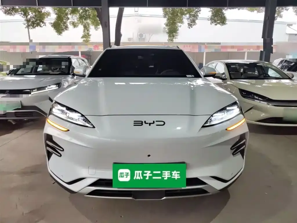 BYD PLUS New Energy 2024 из CN, фото 2