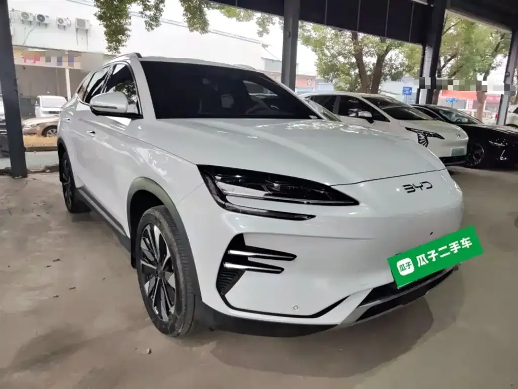 BYD PLUS New Energy 2024 из CN, фото 10