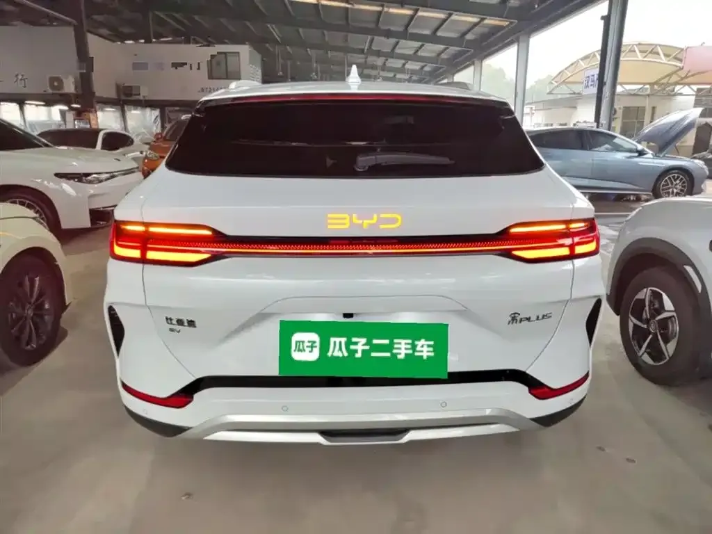 BYD PLUS New Energy 2024 из CN, фото 5