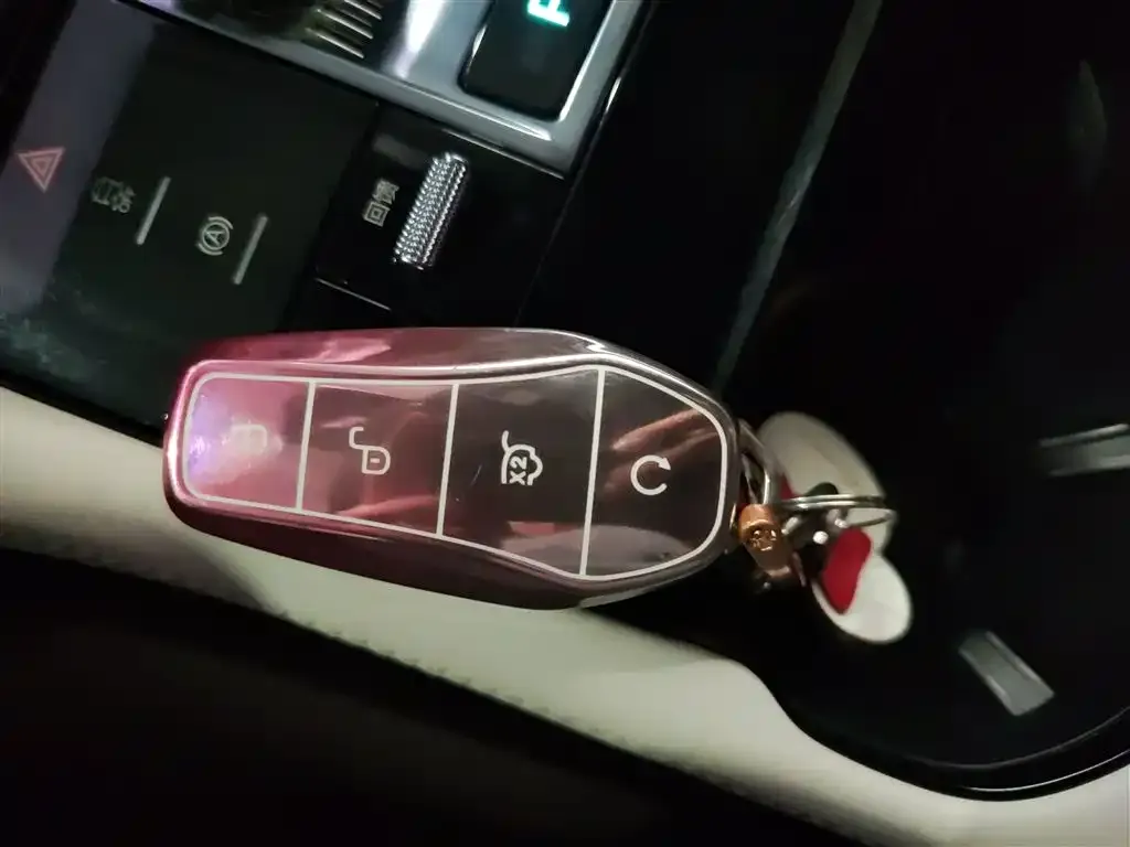 BYD PLUS New Energy 2024 из CN, фото 6