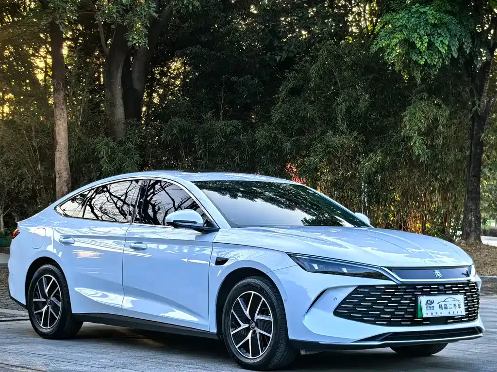 BYD Qin L — фото 10
