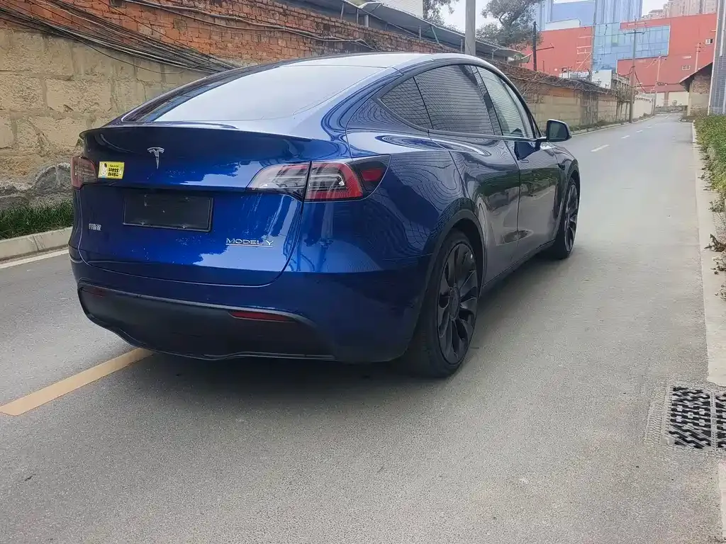 Tesla Model Y 2022 из CN, фото 6