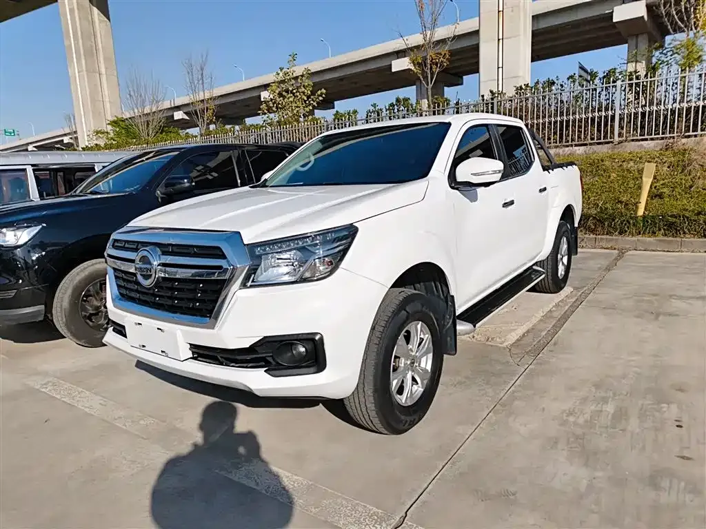 Dongfeng Rich 6 2021 из CN, фото 1