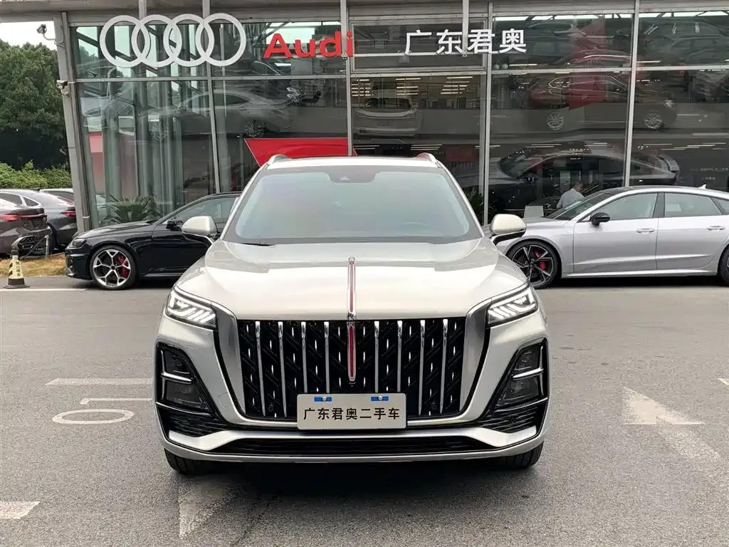 Hongqi HS5 2023 из CN, фото 10
