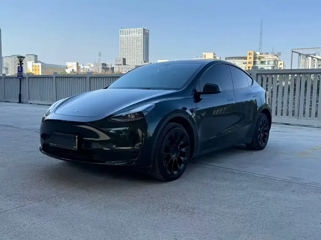 Tesla Model Y — фото 1