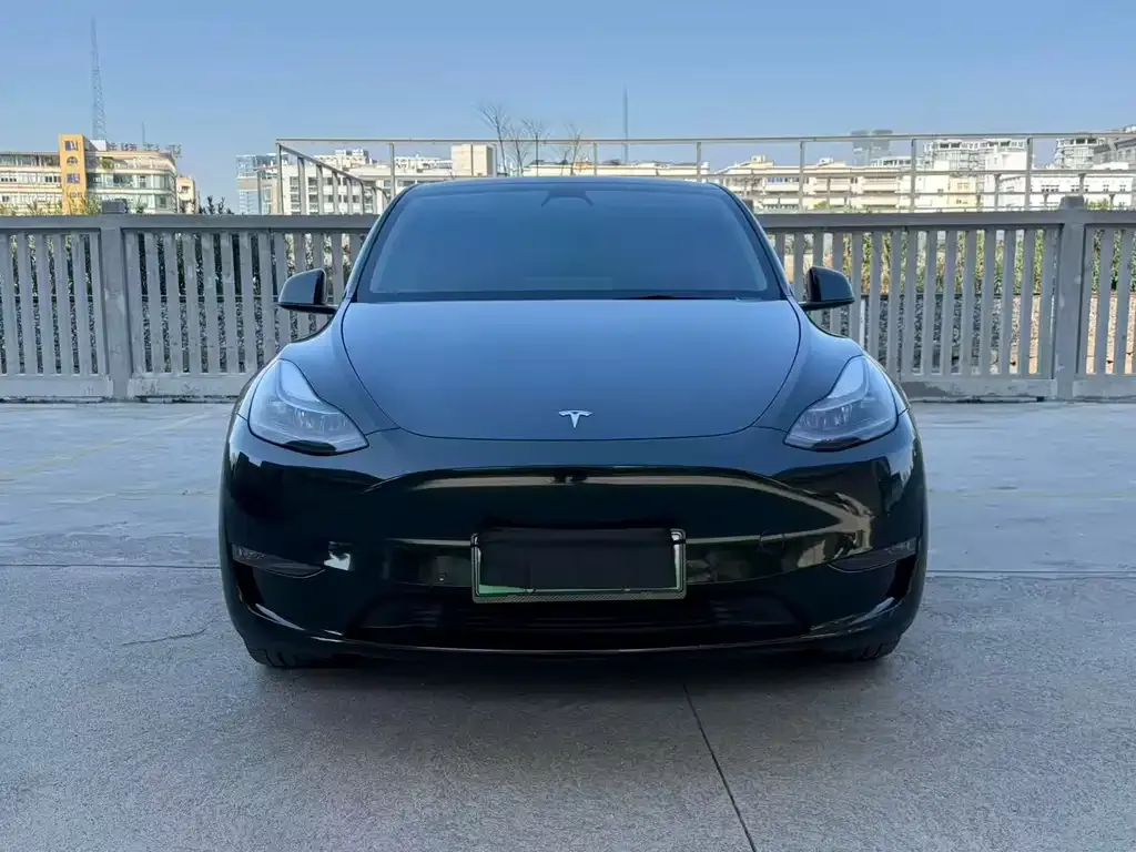 Tesla Model Y — фото 8