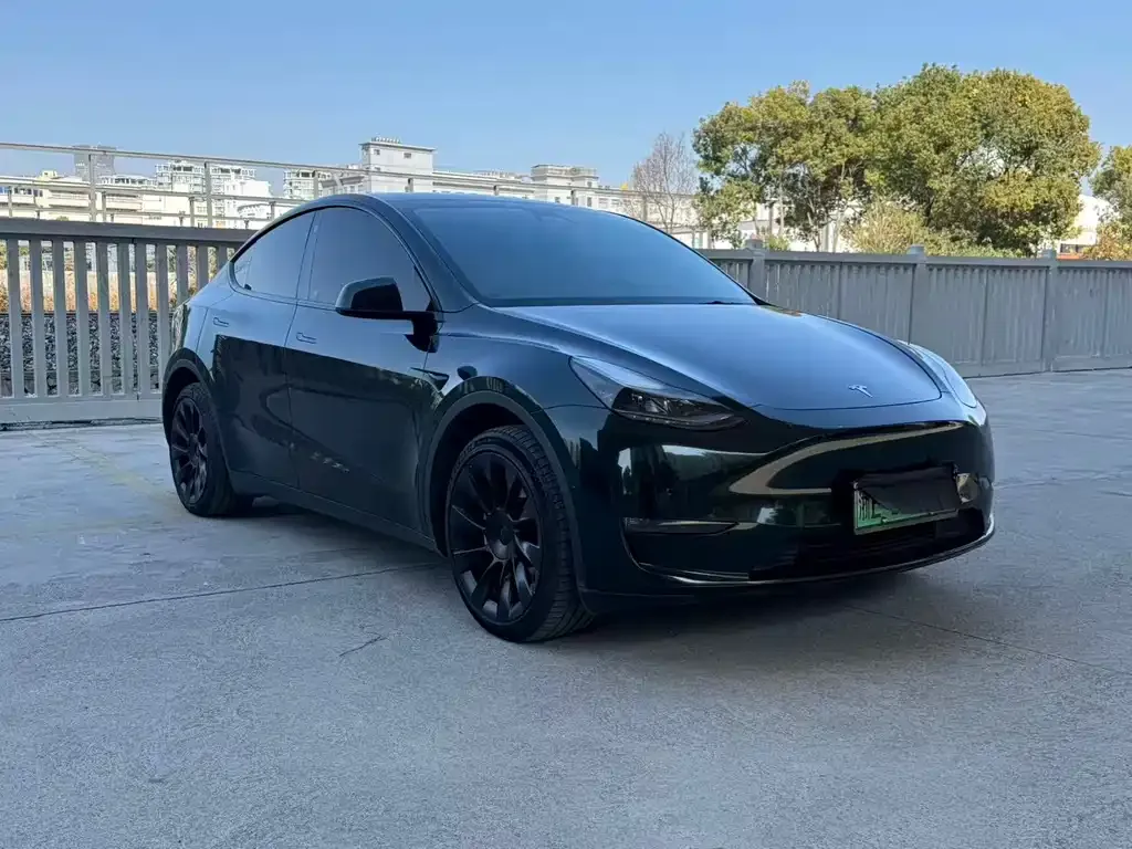 Tesla Model Y — фото 5