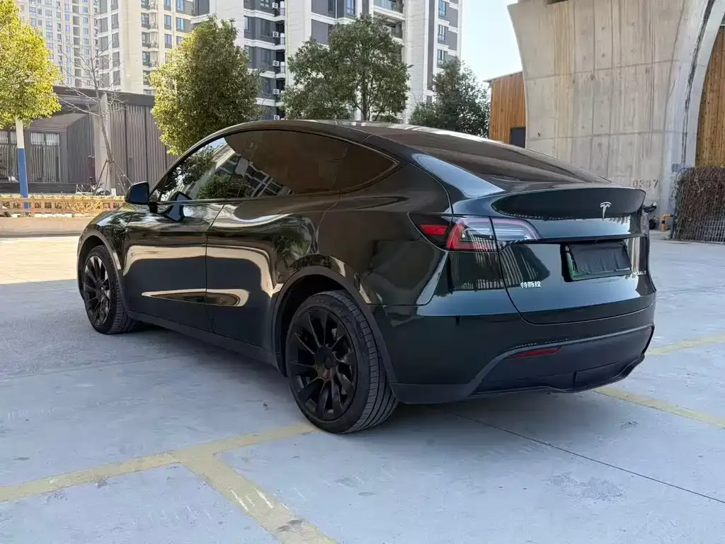 Tesla Model Y — фото 10
