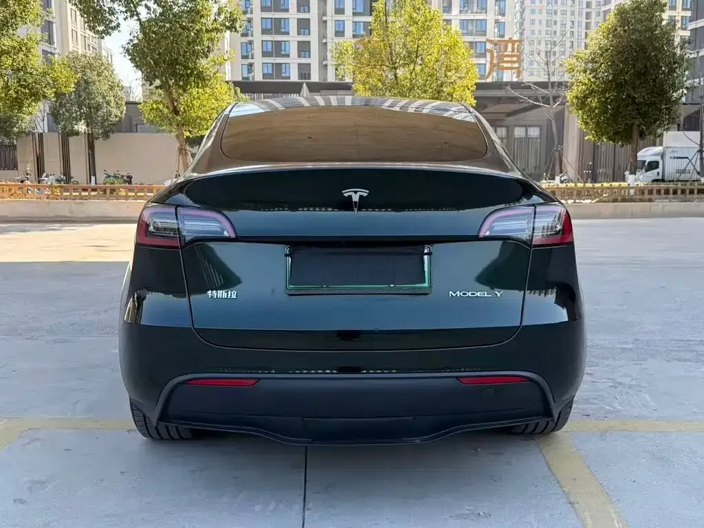 Tesla Model Y — фото 9