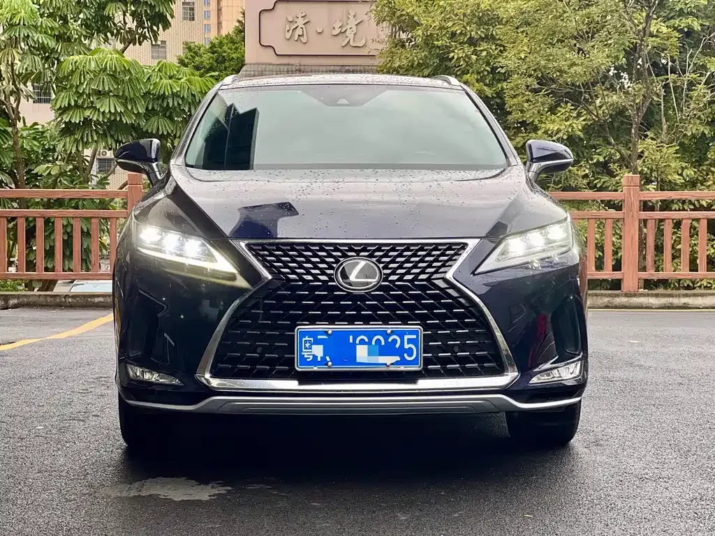 Lexus RX 2022 из CN, фото 7