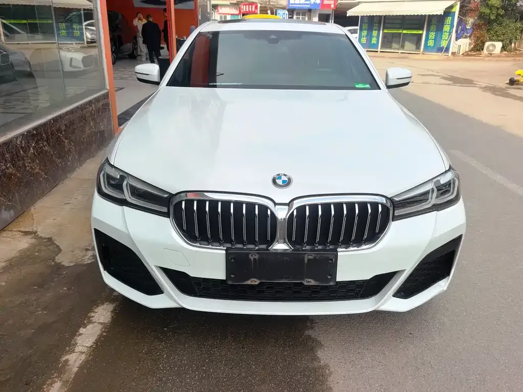 BMW 5 Series 2022 из CN, фото 5