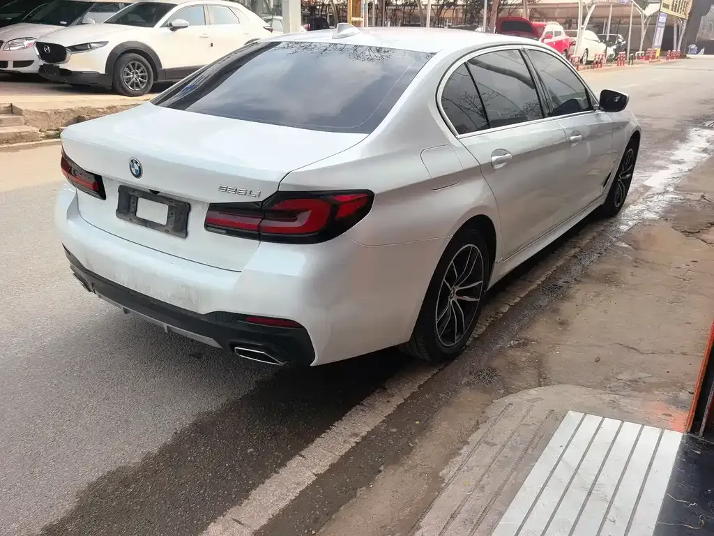 BMW 5 Series 2022 из CN, фото 4
