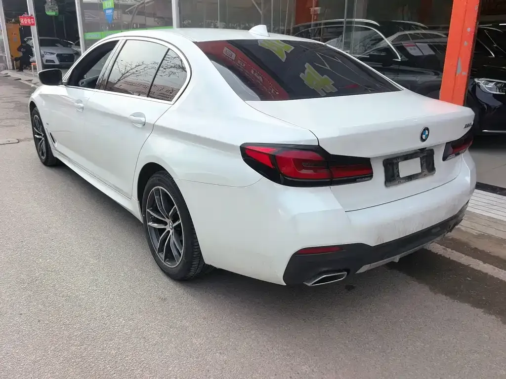 BMW 5 Series 2022 из CN, фото 6