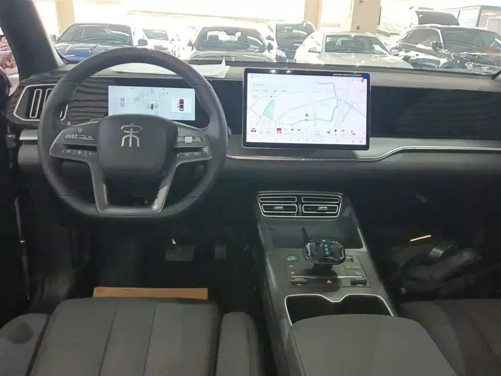 BYD Pro New Energy 2025 из CN, фото 7