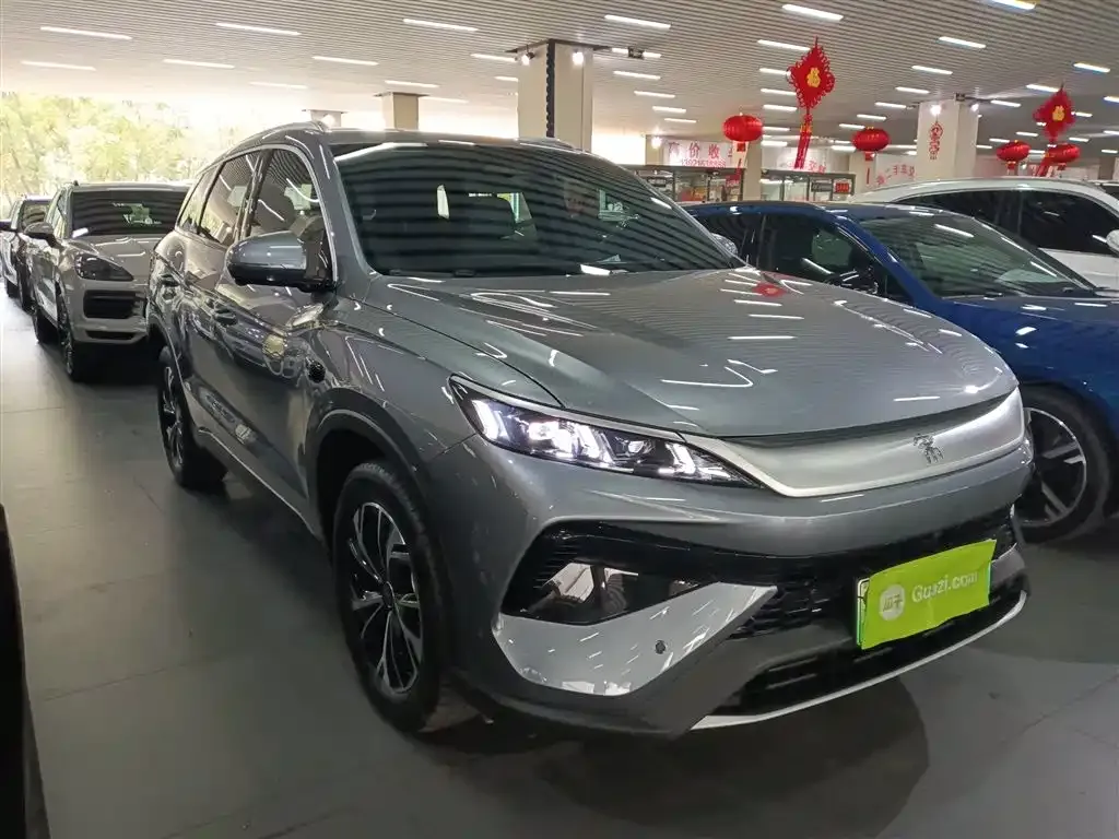 BYD Pro New Energy 2025 из CN, фото 10