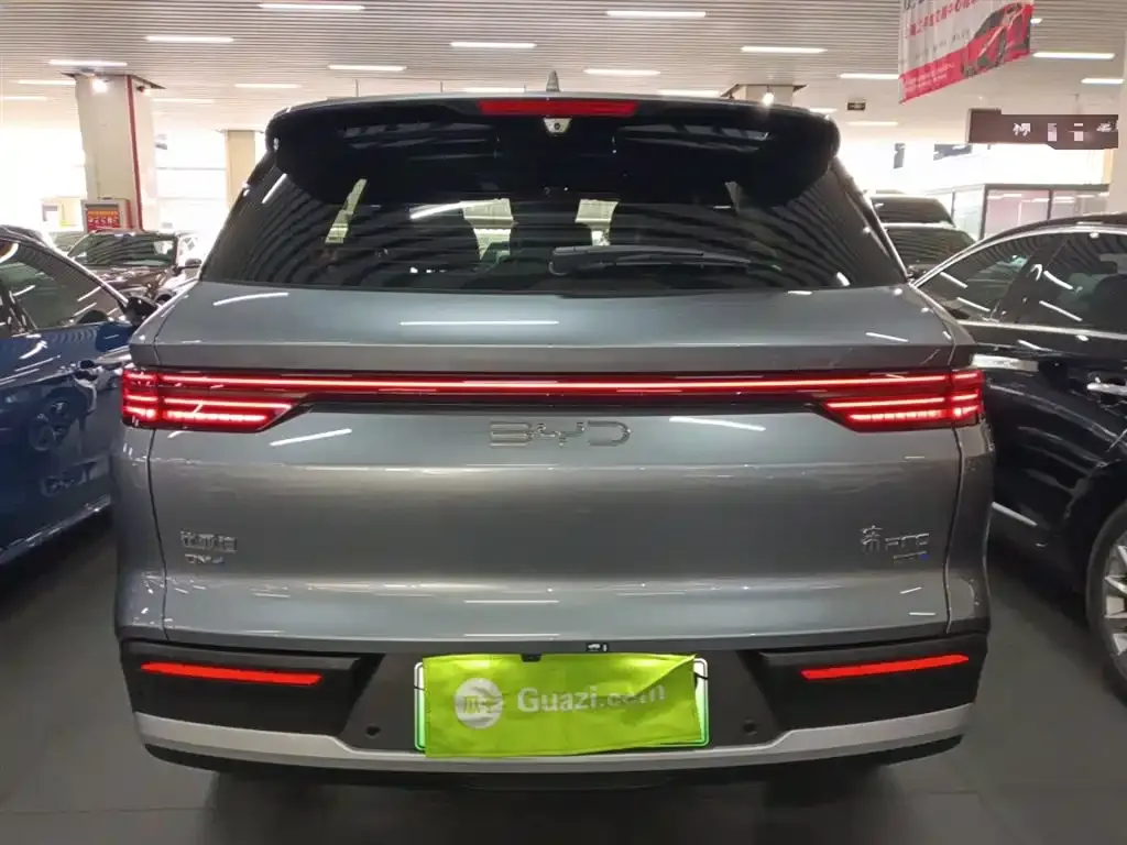 BYD Pro New Energy 2025 из CN, фото 3