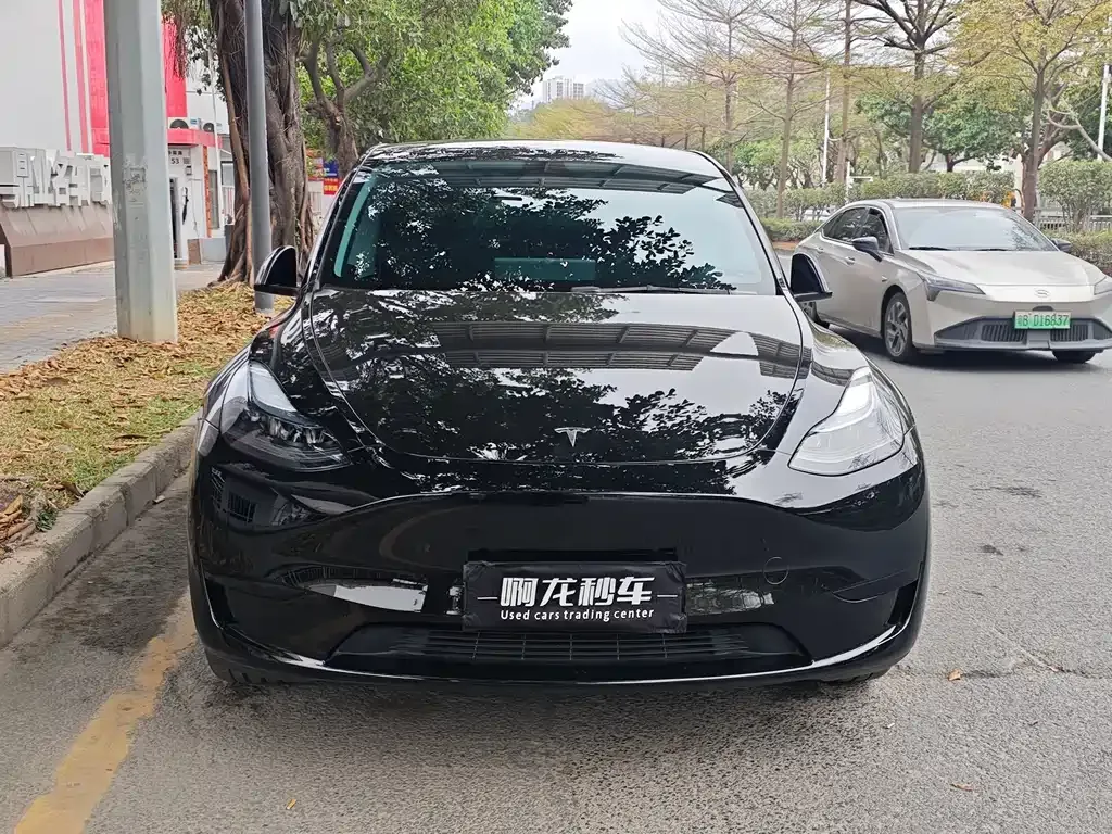 Tesla Model Y 2025 из CN, фото 9