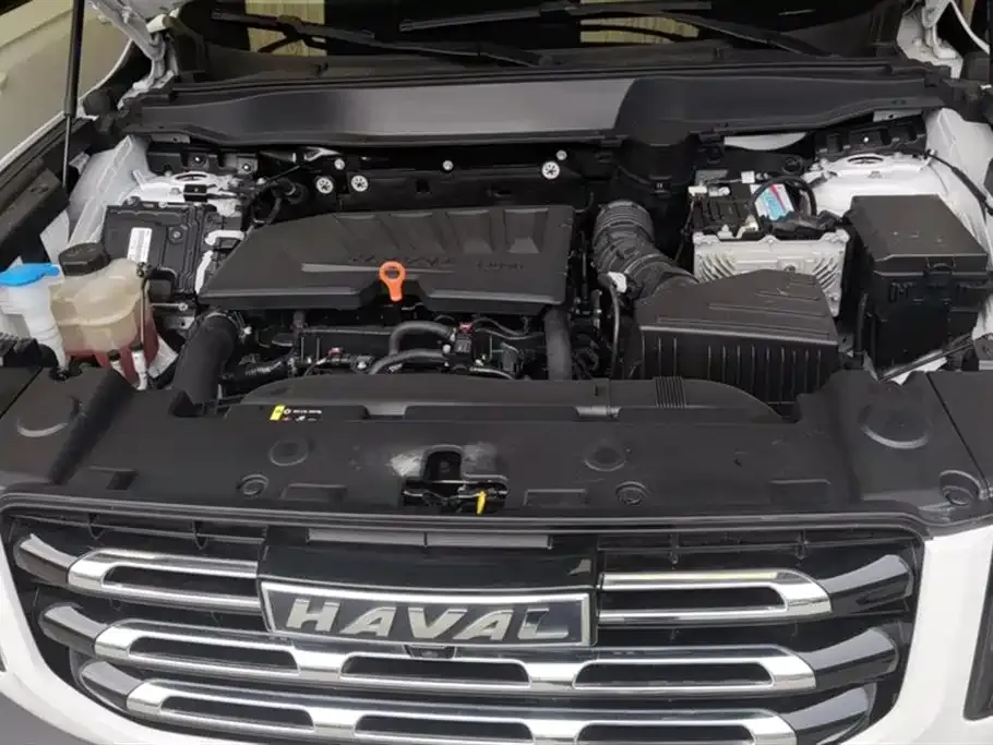 Haval Big Dog 2024 из CN, фото 9