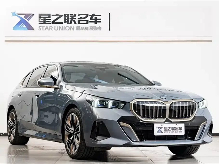 BMW 5 Series 2024 из CN, фото 6