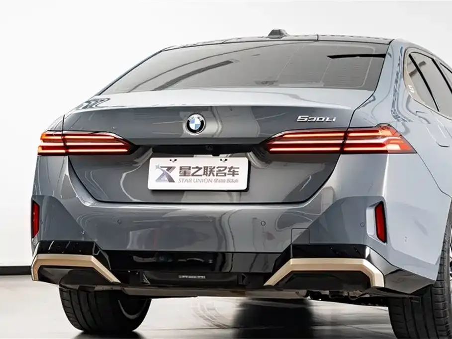 BMW 5 Series 2024 из CN, фото 9