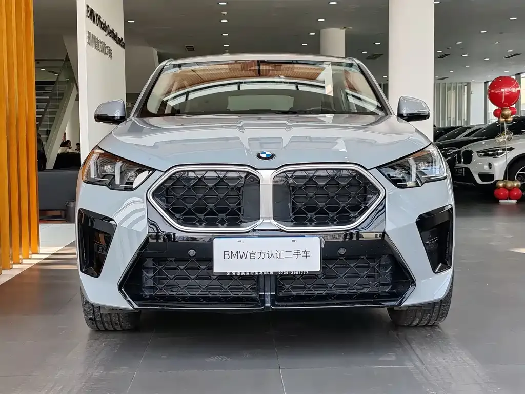 BMW X2 (Import) — фото 8