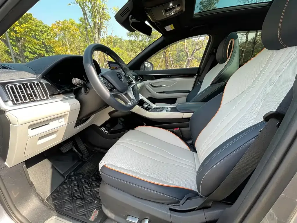 BYD PLUS New Energy 2023 из CN, фото 2