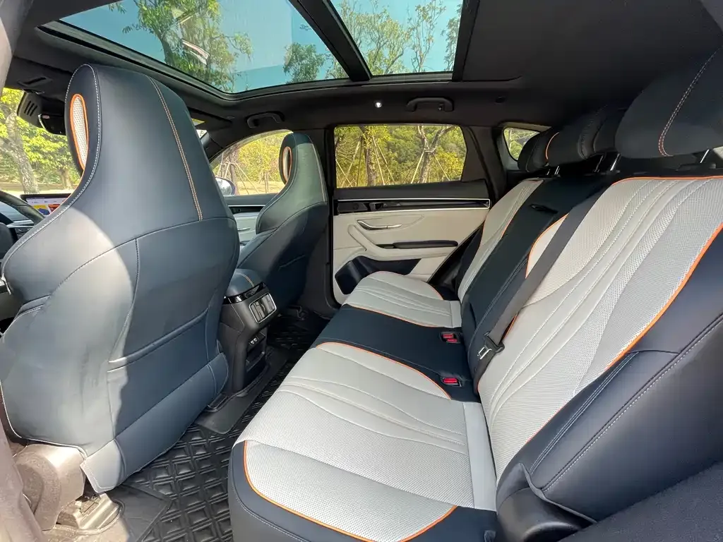 BYD PLUS New Energy 2023 из CN, фото 6