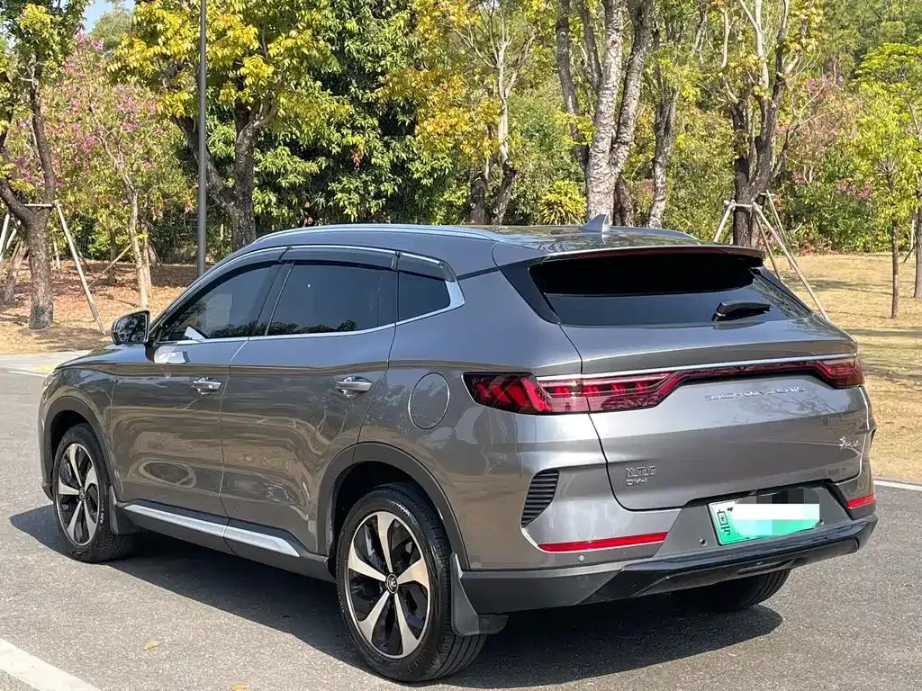 BYD PLUS New Energy 2023 из CN, фото 4