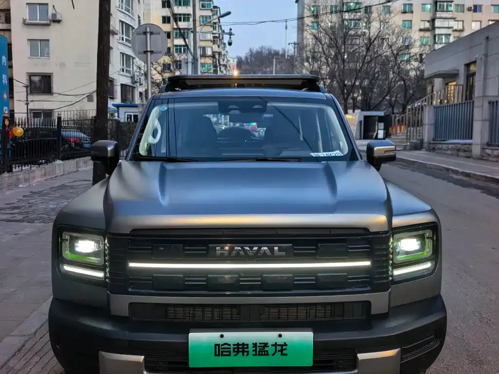 Haval Menglong New Energy 2026 из CN, фото 1