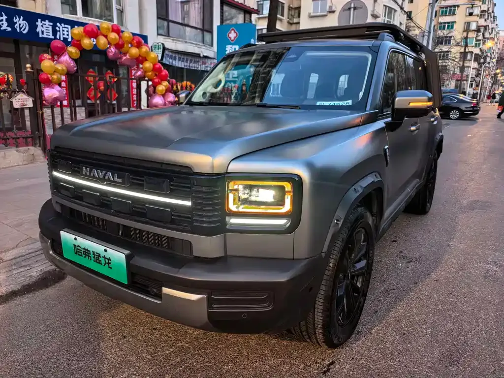 Haval Menglong New Energy 2026 из CN, фото 9