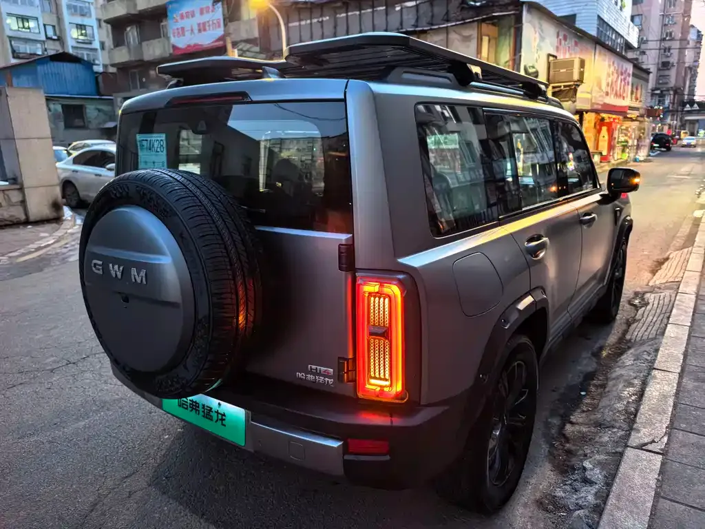Haval Menglong New Energy 2026 из CN, фото 4