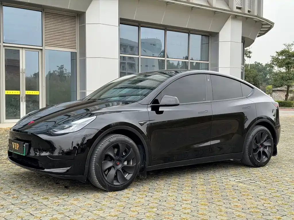Tesla Model Y — фото 1